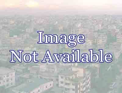 Flat / Apartment Rent At Mohammadpur