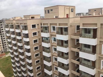 Flat / Apartment Rent At Mirpur