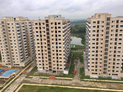 Flat / Apartment Rent At Mirpur